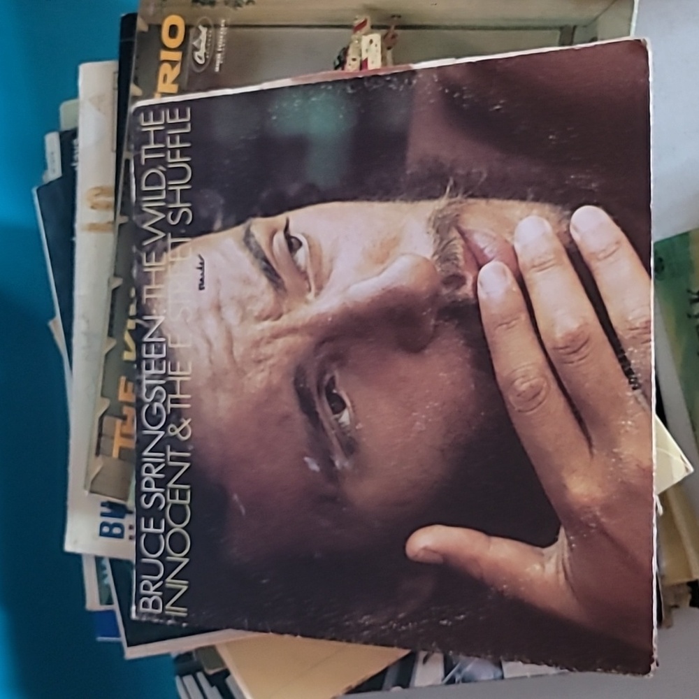 The Wild, the Innocent & the E Street Shuffle Vinyl Record 33